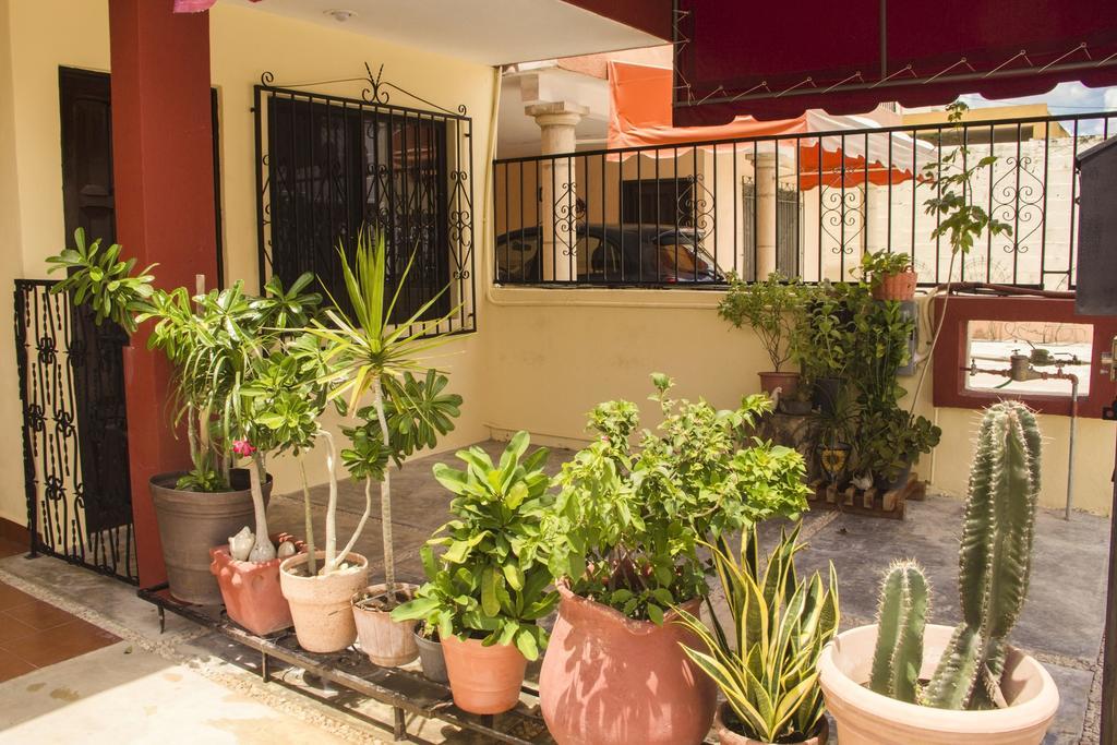 Villa La Casa Del Chac à Mérida Extérieur photo