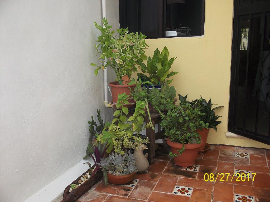 Villa La Casa Del Chac à Mérida Extérieur photo